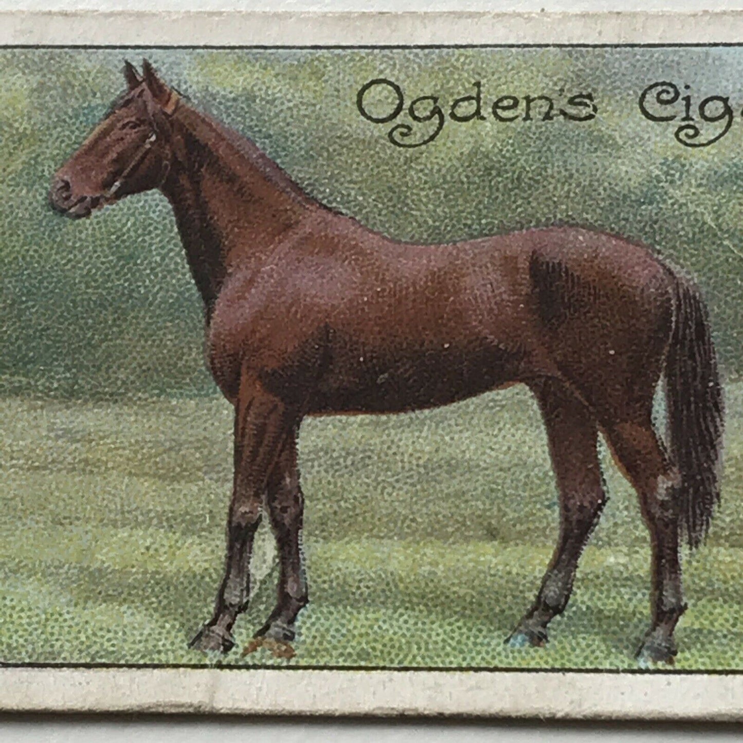 Ogden’s Cigarette Card RACEHORSES #40 JEDDAH J W Larnach Winner Of 1898 Derby