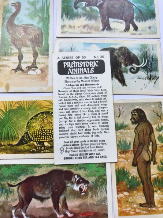 PREHISTORIC ANIMALS Brooke Bond Tea Collectable Trade Cards 1972 take your pick