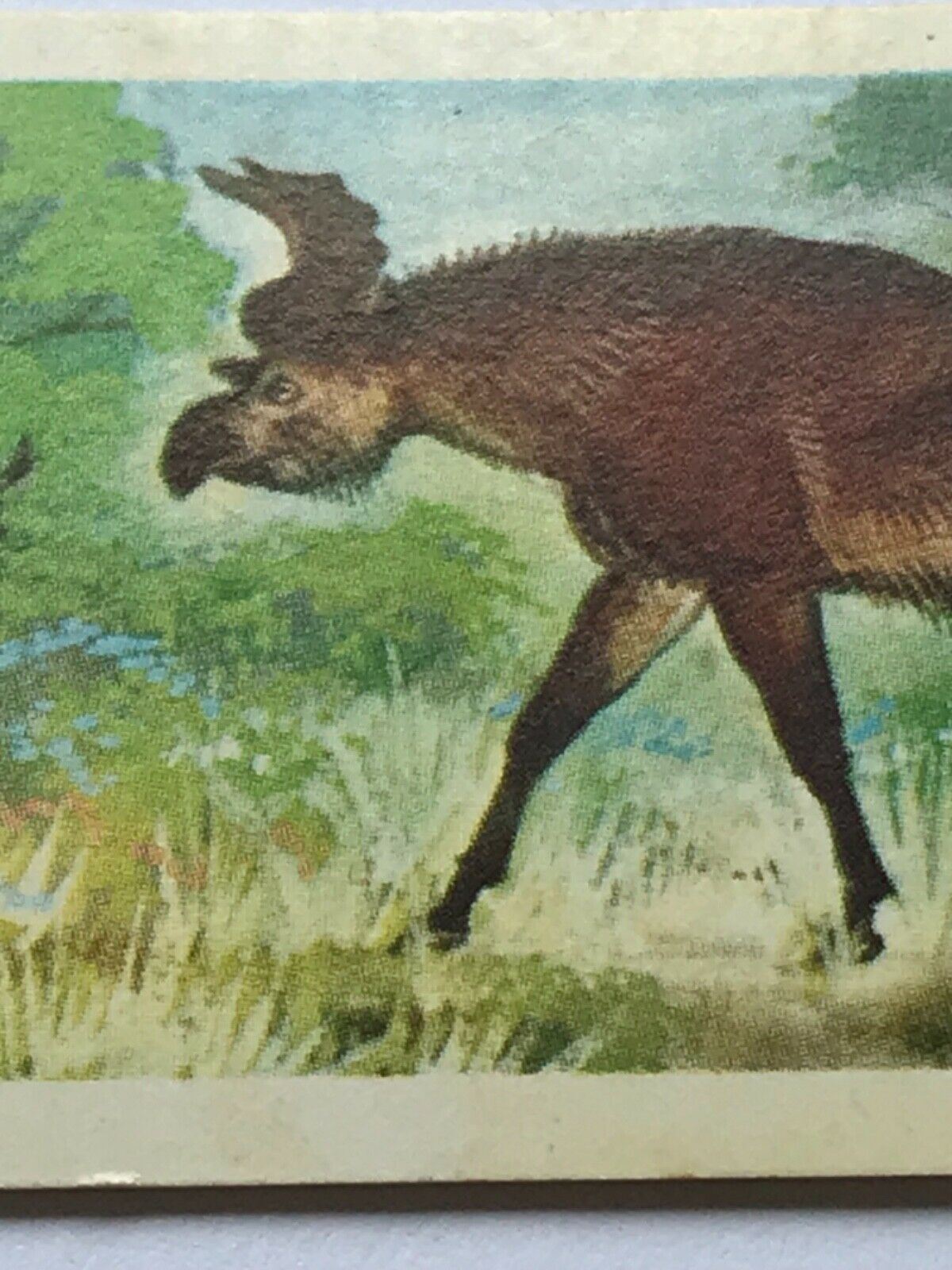 PREHISTORIC ANIMALS Brooke Bond Tea Collectable Trade Cards 1972 take your pick