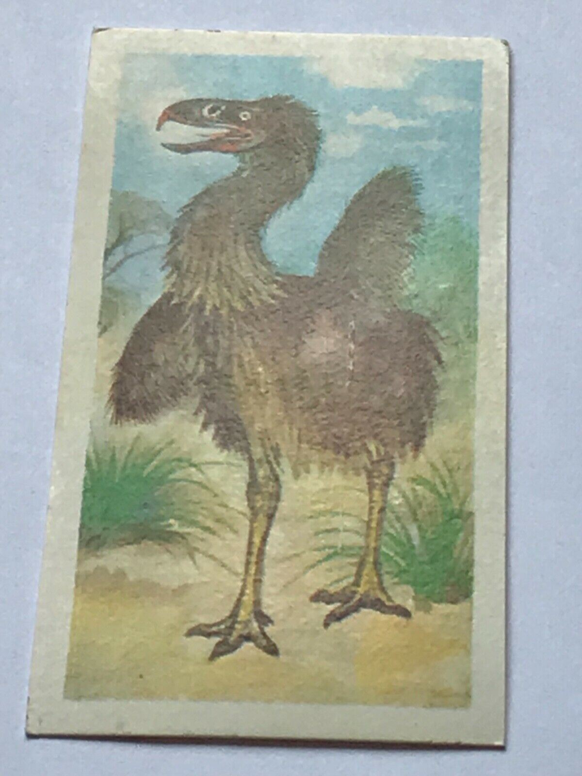 PREHISTORIC ANIMALS Brooke Bond Tea Collectable Trade Cards 1972 take your pick