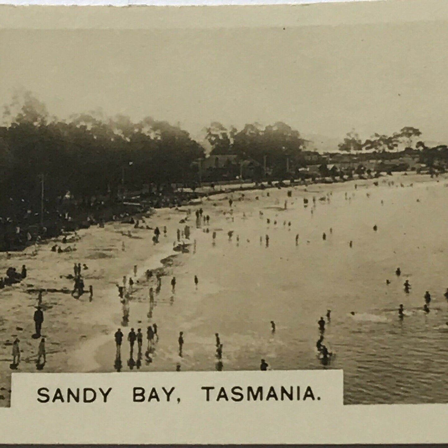 SANDY BAY TASMANIA Vintage Photo (cigarette Card?) BEACH SCENE SEASIDE