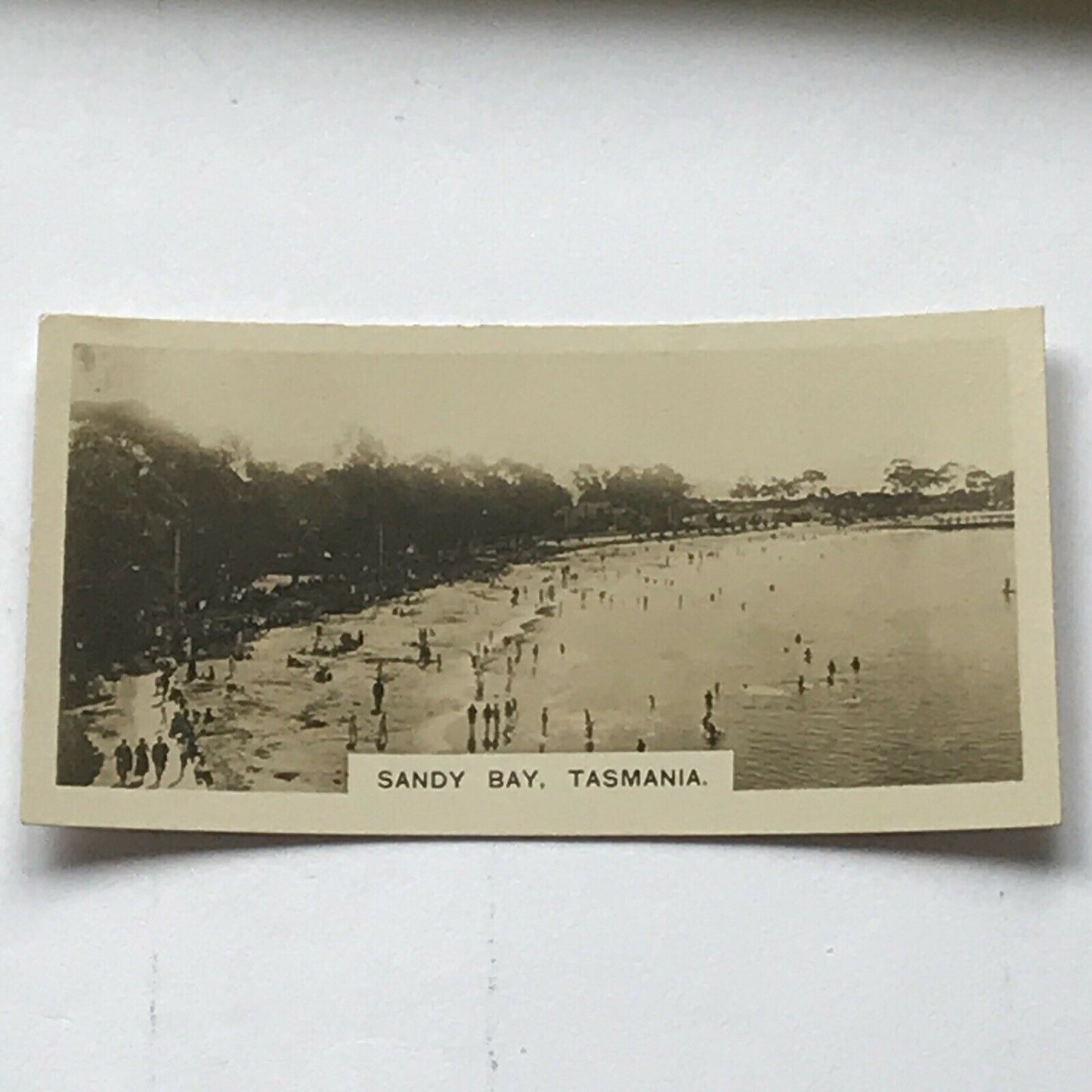 SANDY BAY TASMANIA Vintage Photo (cigarette Card?) BEACH SCENE SEASIDE