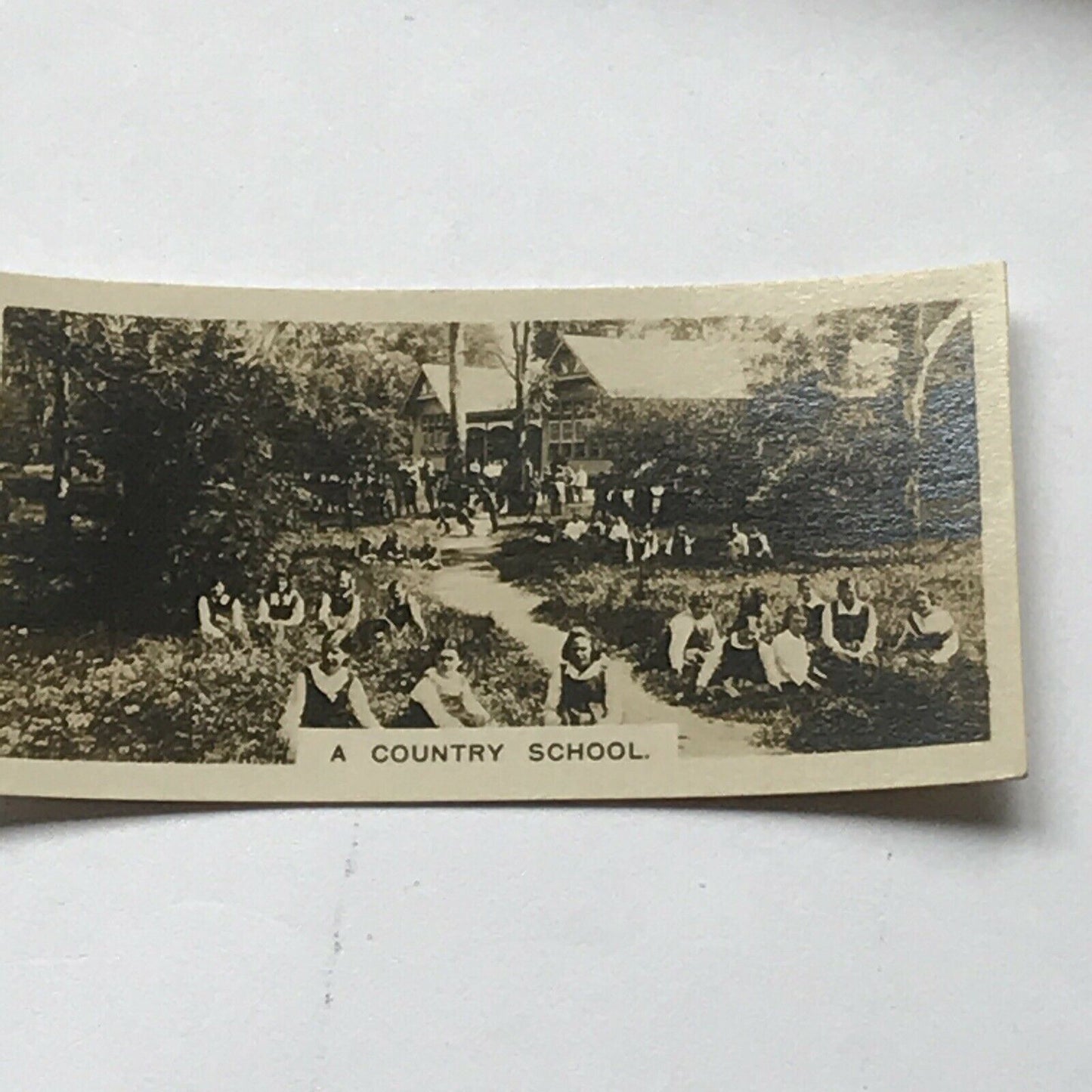 A COUNTRY SCHOOL Vintage Photo (cigarette Card?) AUSTRALIA Lessons Outside