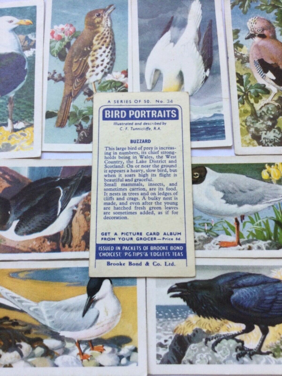 BIRD PORTRAITS  Brooke Bond Tea Cards Sold Individually - take your pick