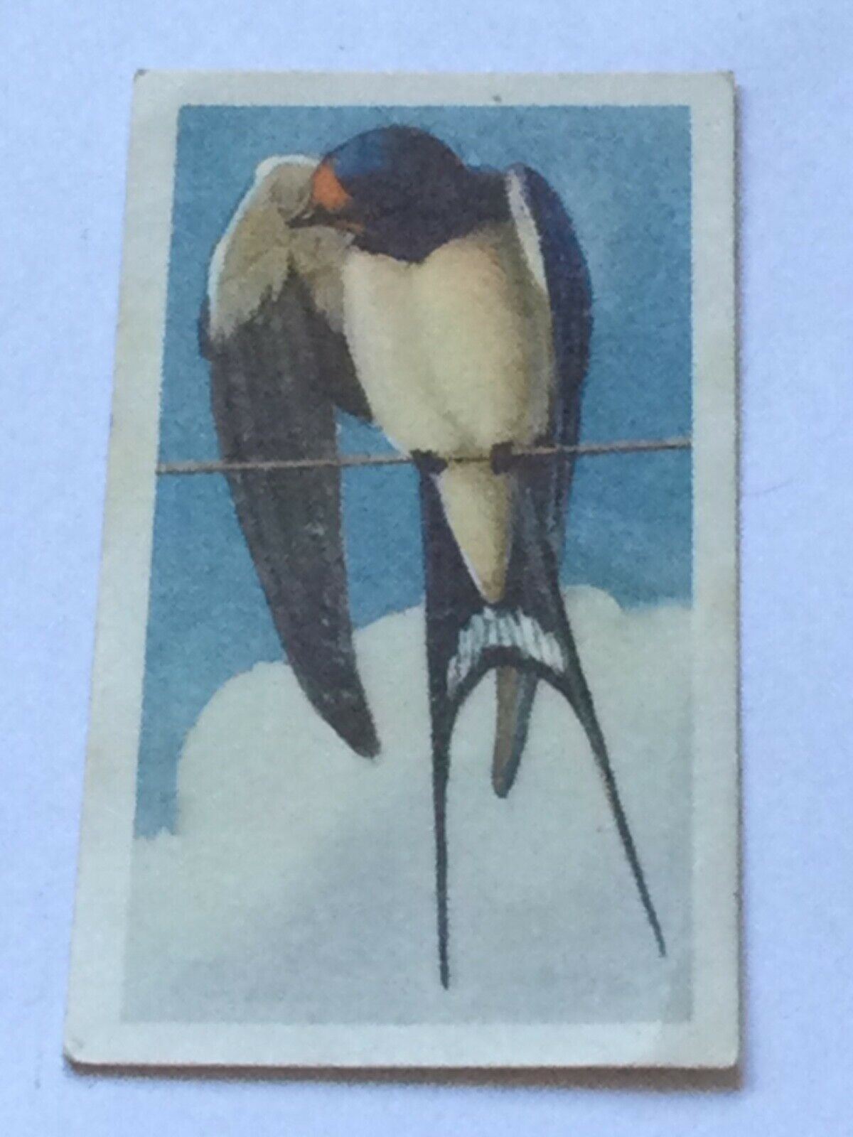 BIRD PORTRAITS  Brooke Bond Tea Cards Sold Individually - take your pick