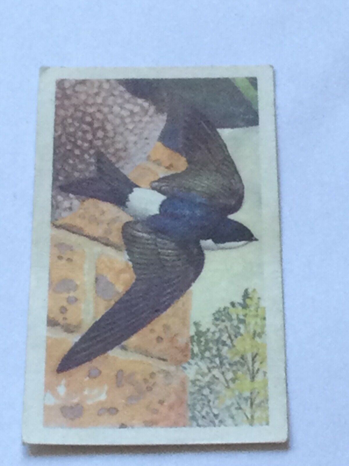 BIRD PORTRAITS  Brooke Bond Tea Cards Sold Individually - take your pick