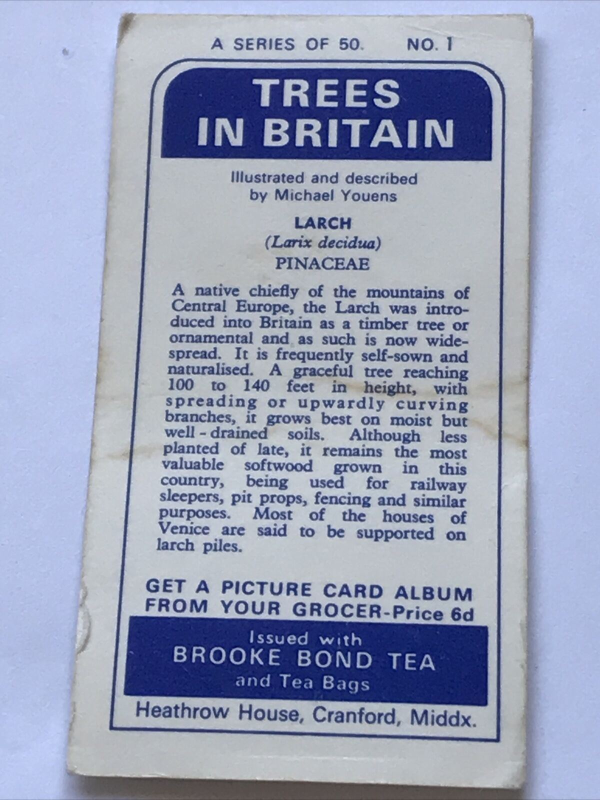 Brooke Bond Tea Card Trees In Britain No 1 LARCH LARIX DECIDUA 1960s Collectable