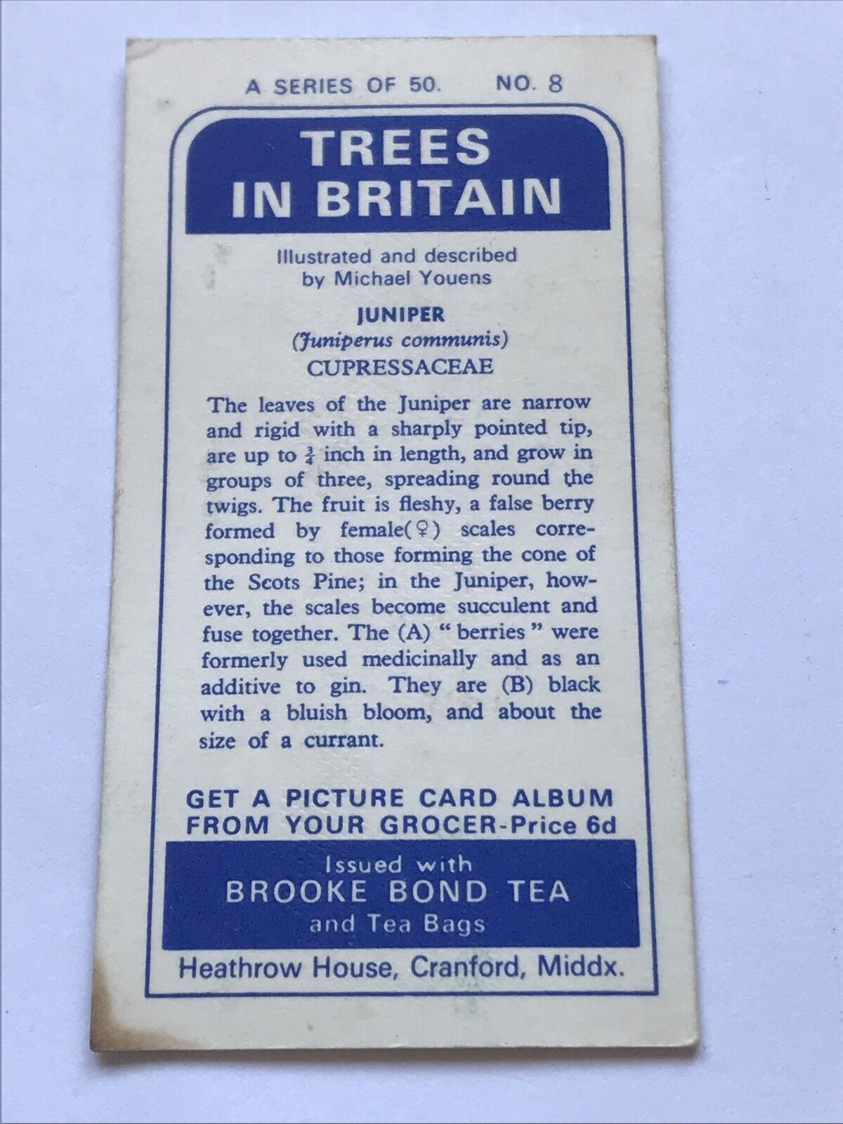 Brooke Bond Tea Card Trees In Britain No 8 JUNIPER  1960s Collectable