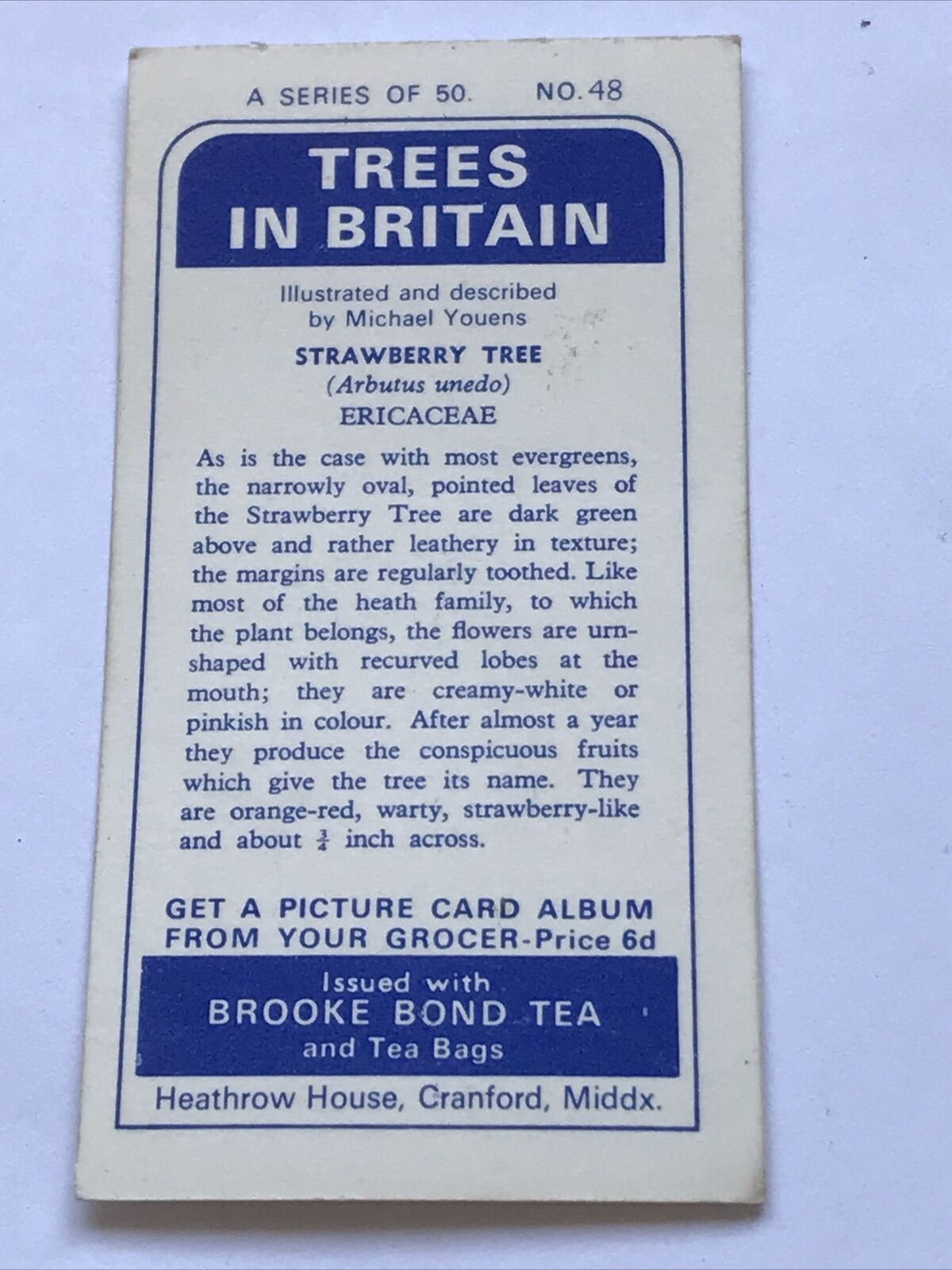 Brooke Bond Tea Card Trees In Britain No 48 STRAWBERRY TREE ERICACEAE 1960s