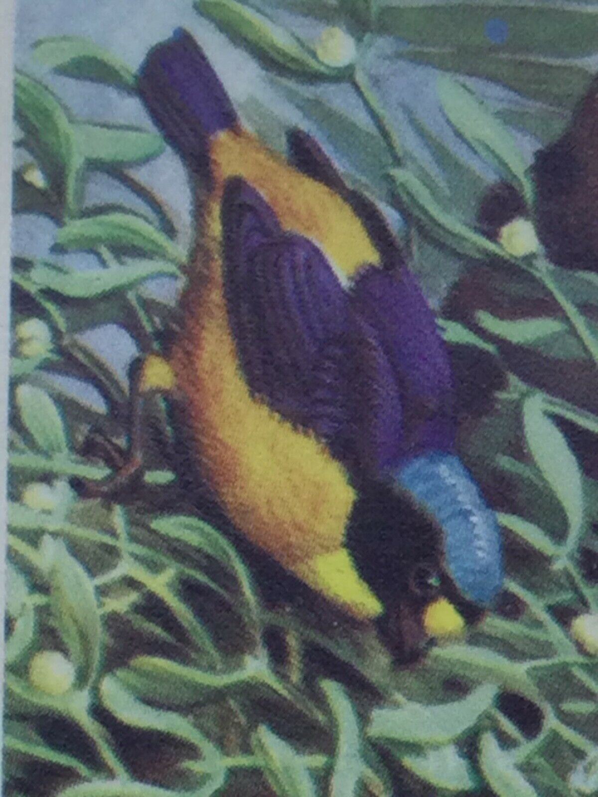 TROPICAL BIRDS Brooke Bond Tea Cards vintage - sold individually