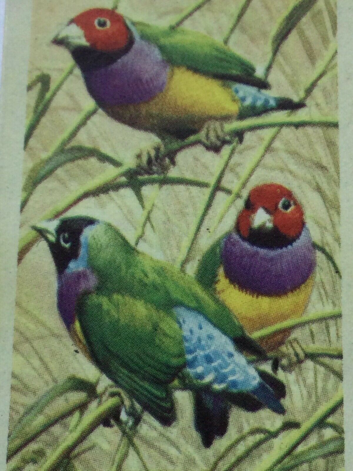 TROPICAL BIRDS Brooke Bond Tea Cards vintage - sold individually