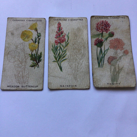 CARRERAS WILD FLOWER ART SERIES 3 x Cards nos. 2, 15, 20. Meadow Buttercup