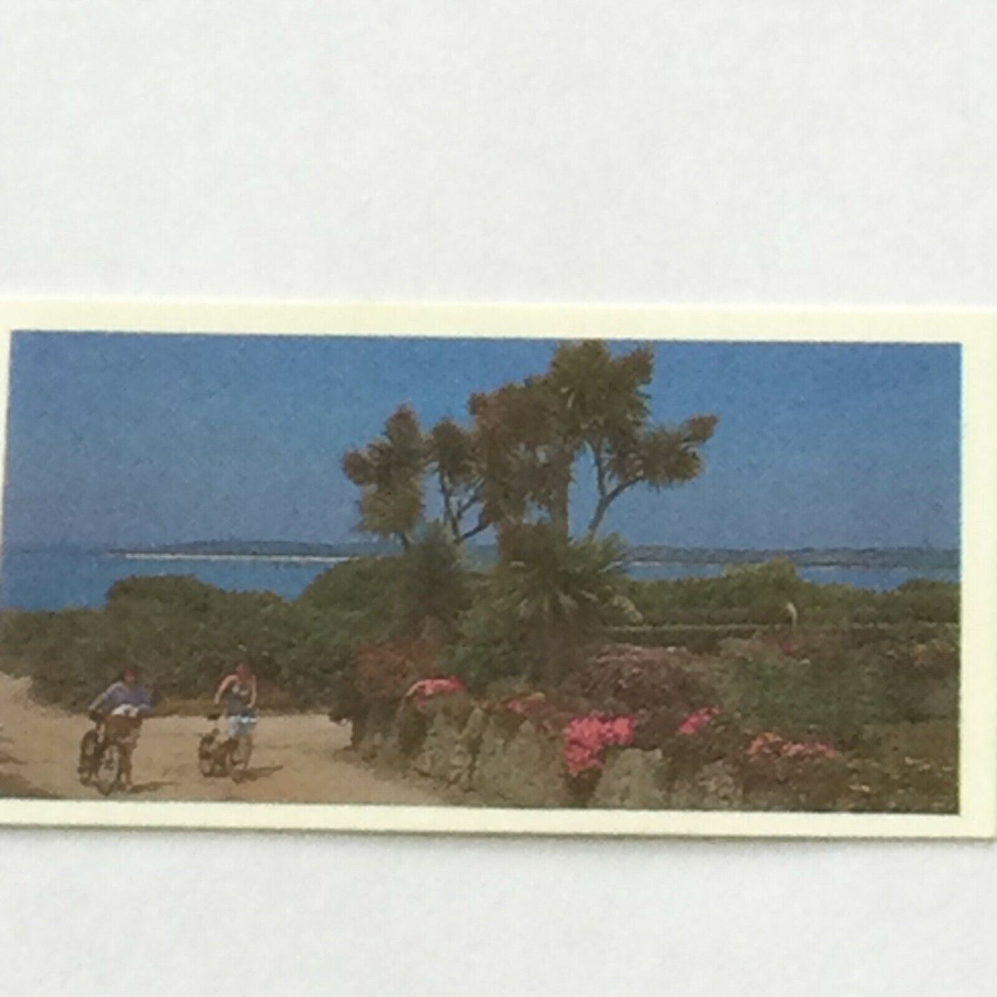 Brooke Bond Tea Cards - Discovering our Coast 1989 - sold individually