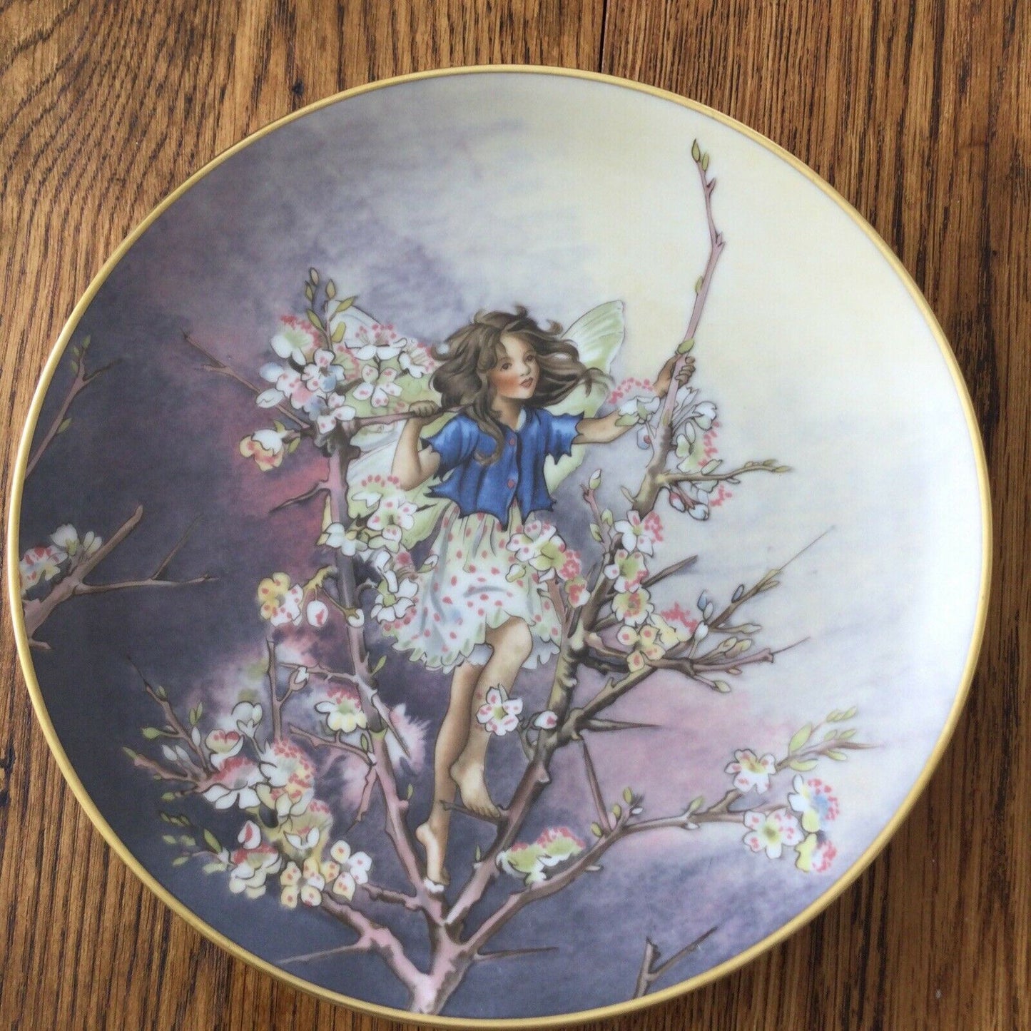 BLACKTHORN FAIRY VILLEROY & BOCH HEINRICH FLOWER FAIRY plate Cicely Mary Barker