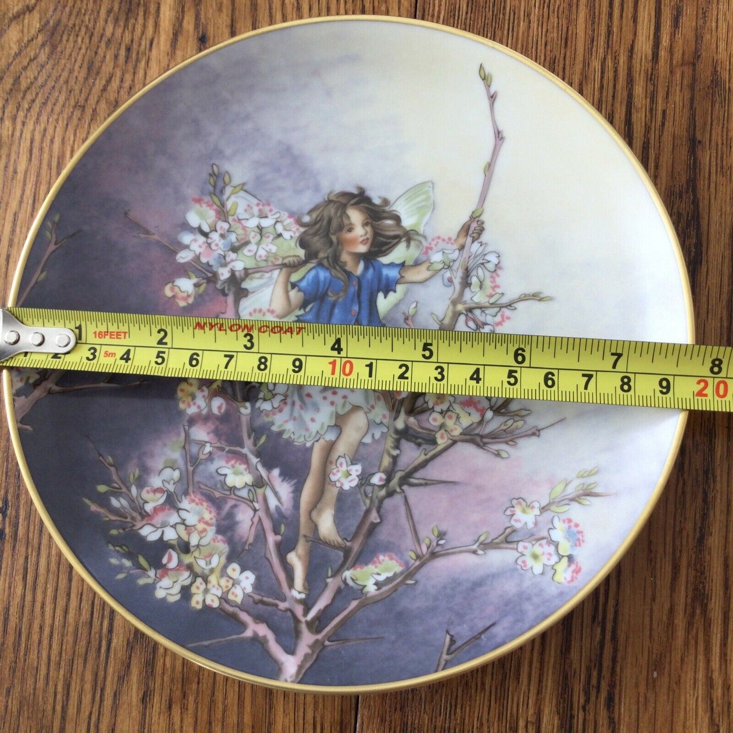 BLACKTHORN FAIRY VILLEROY & BOCH HEINRICH FLOWER FAIRY plate Cicely Mary Barker