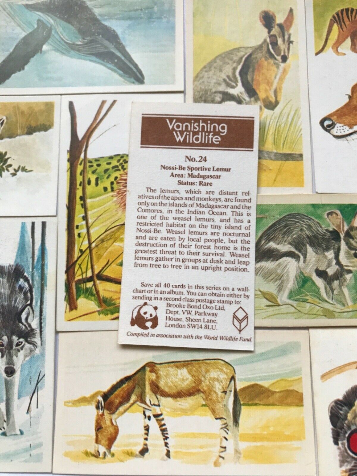 VANISHING WILDLIFE Brooke Bond Tea Cards - sold individually - take your pick!