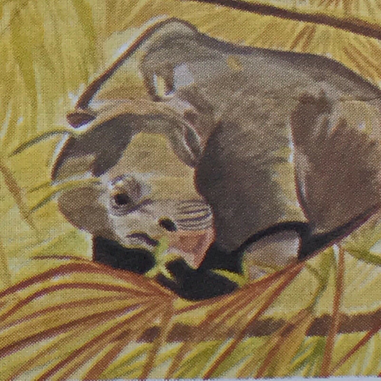 VANISHING WILDLIFE Brooke Bond Tea Cards - sold individually - take your pick!