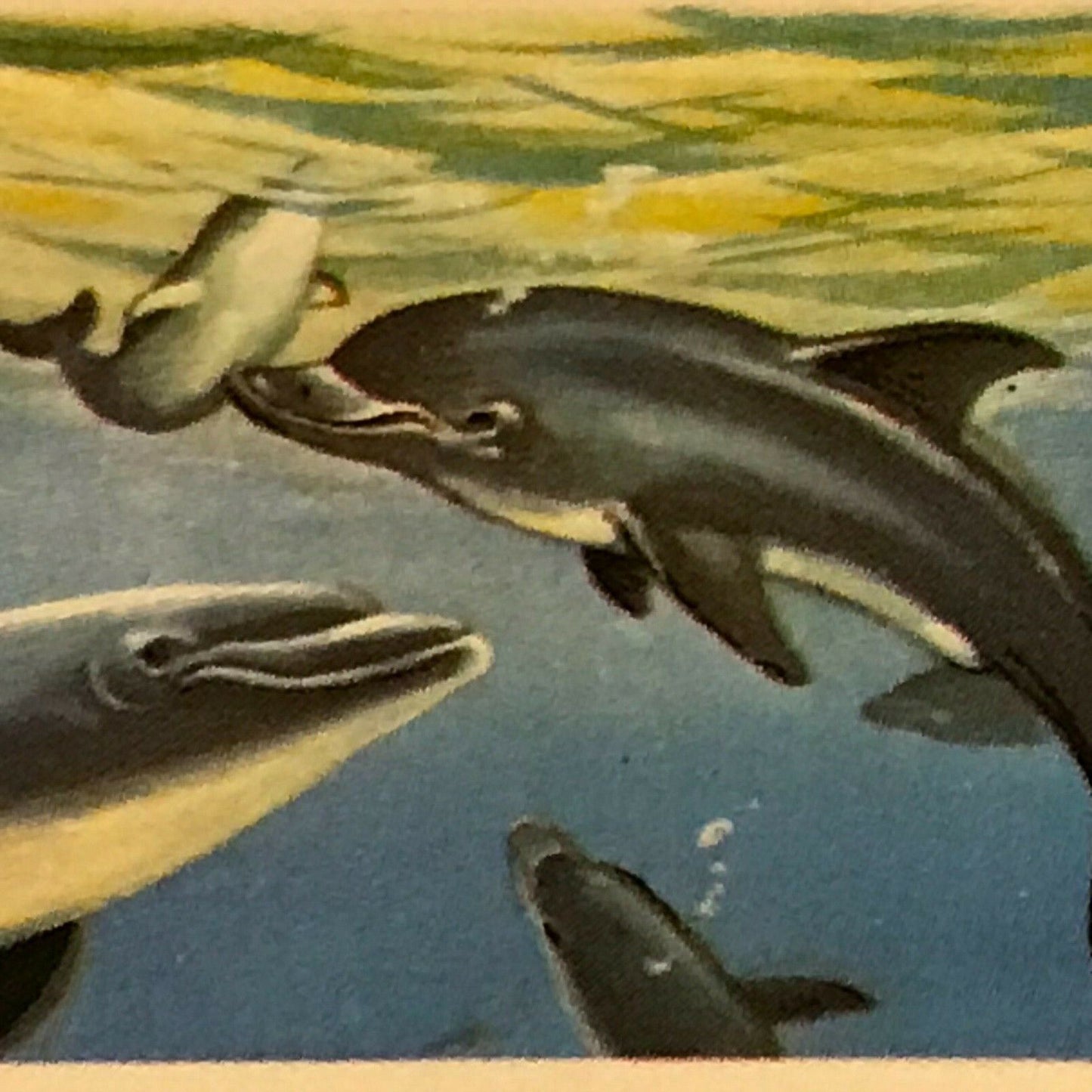 THE SEA - OUR OTHER WORLD Brooke Bond Tea Cards - sold individually.