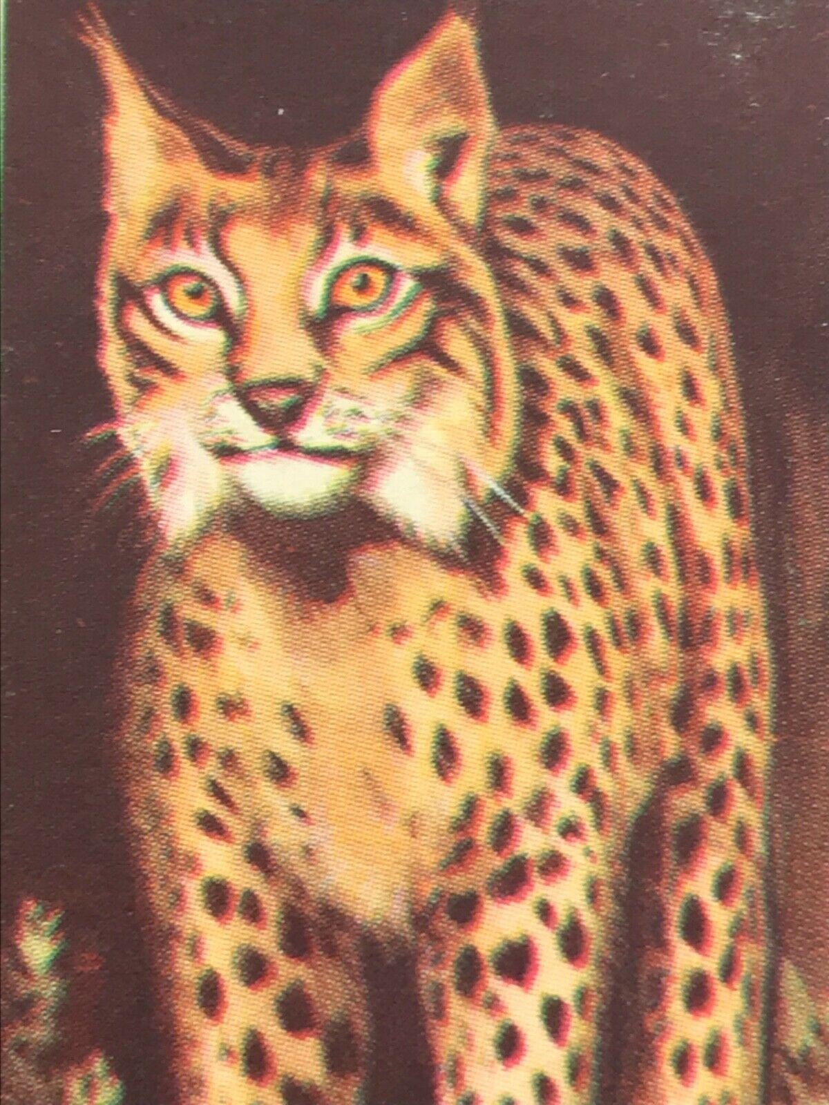 WILDLIFE IN DANGER Brooke Bond Tea Cards - sold individually - take your pick