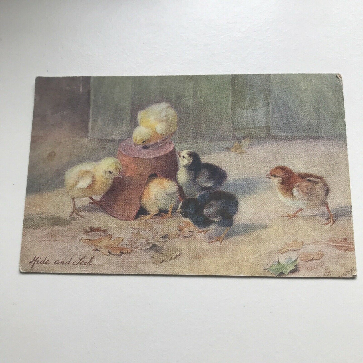 Antique Greetings Postcard Cute Chicks In Flowerpot ‘Hide & Seek’ Tuck’s Oilette