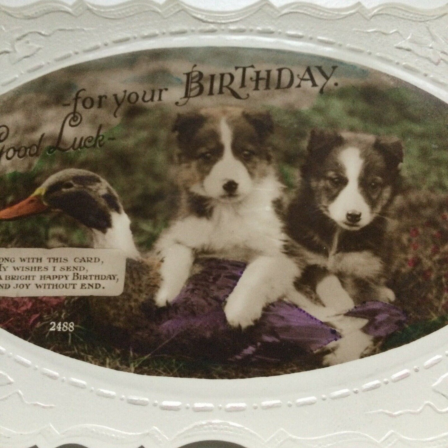 Vintage Birthday Greetings Postcard Embossed RP Fancy Edge PUPPIES & DUCK Cute