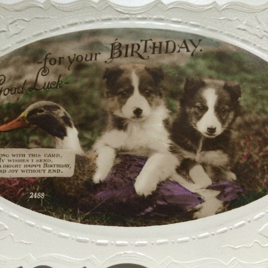 Vintage Birthday Greetings Postcard Embossed RP Fancy Edge PUPPIES & DUCK Cute