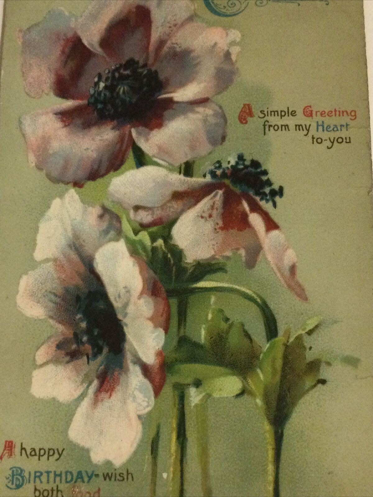 Vintage Birthday Greetings Card Anemones Congratulations Sweet Drawing On Back