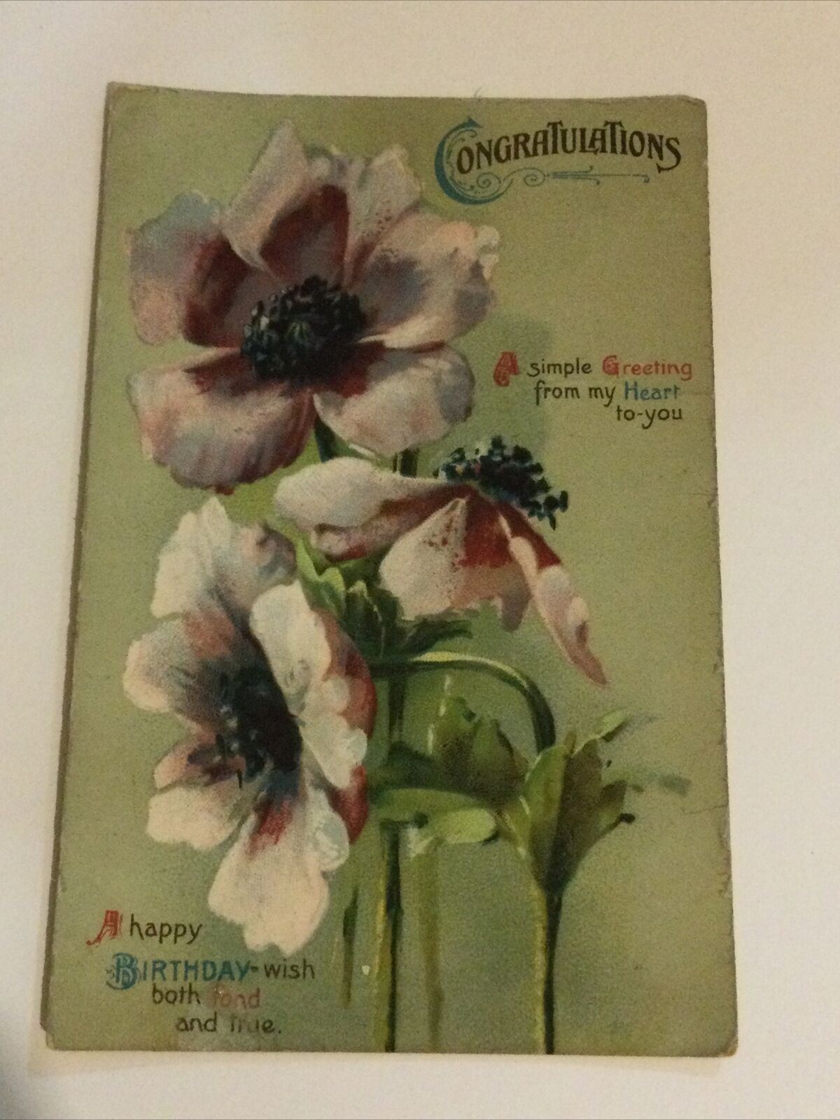 Vintage Birthday Greetings Card Anemones Congratulations Sweet Drawing On Back