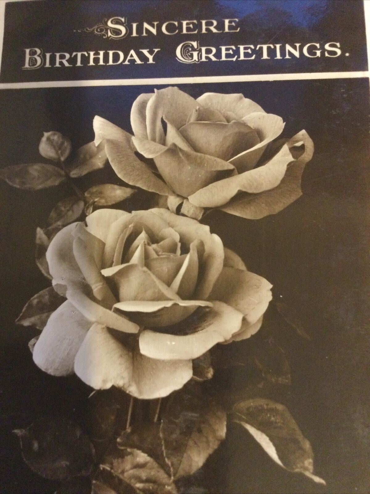 Vintage Birthday Greetings Postcard Beautiful Rose Photo 1934 1930s Black & Whit