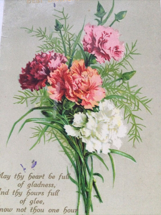 Antique Birthday Greetings Postcard Flowers Carnations Nice Poem Best Wishes