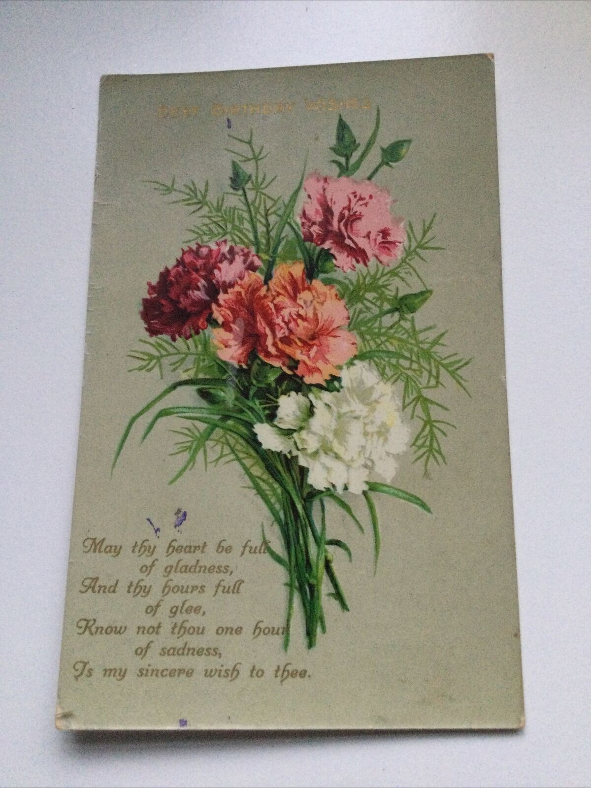 Antique Birthday Greetings Postcard Flowers Carnations Nice Poem Best Wishes