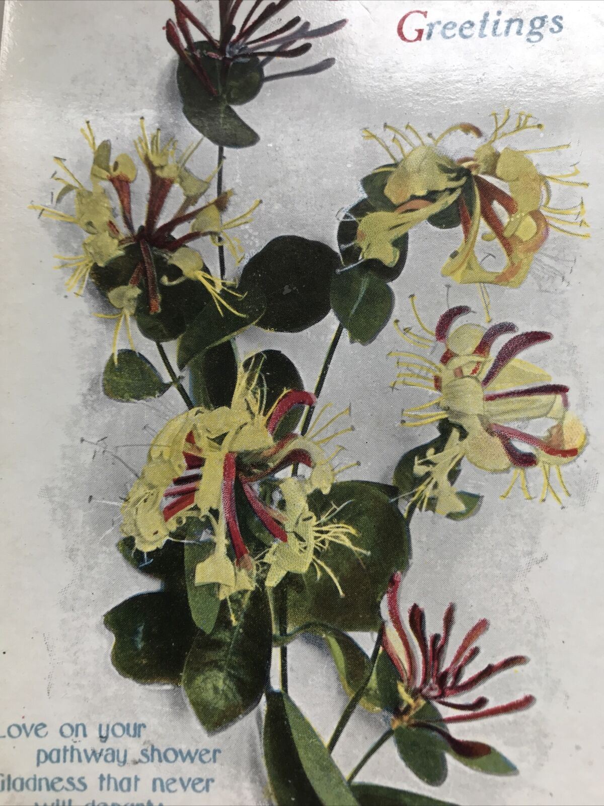 Antique Birthday Greetings Postcard Honeysuckle Lovely Poem 1918 Glossy