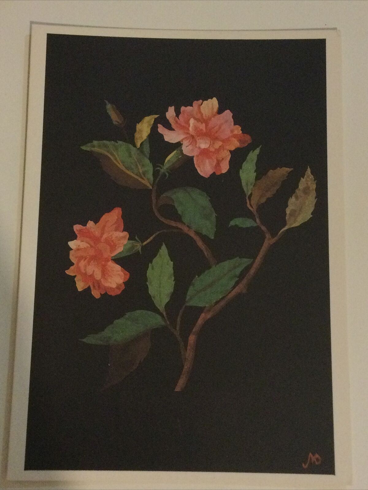 MRS MARY DELANY China Rose. Blank Card, No Envelope. C18th Female Painter. Pretty floral greetings card.