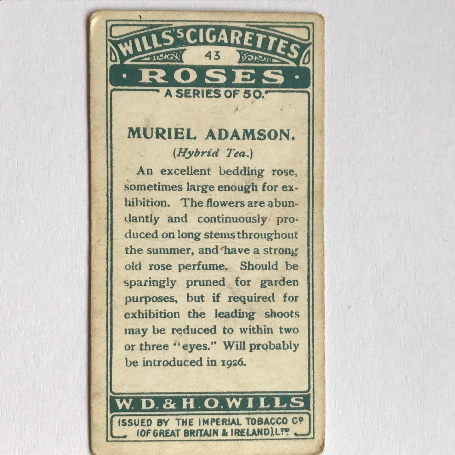 ROSES 1926 Wills Cigarette Cards - vintage rose pictures - sold individually