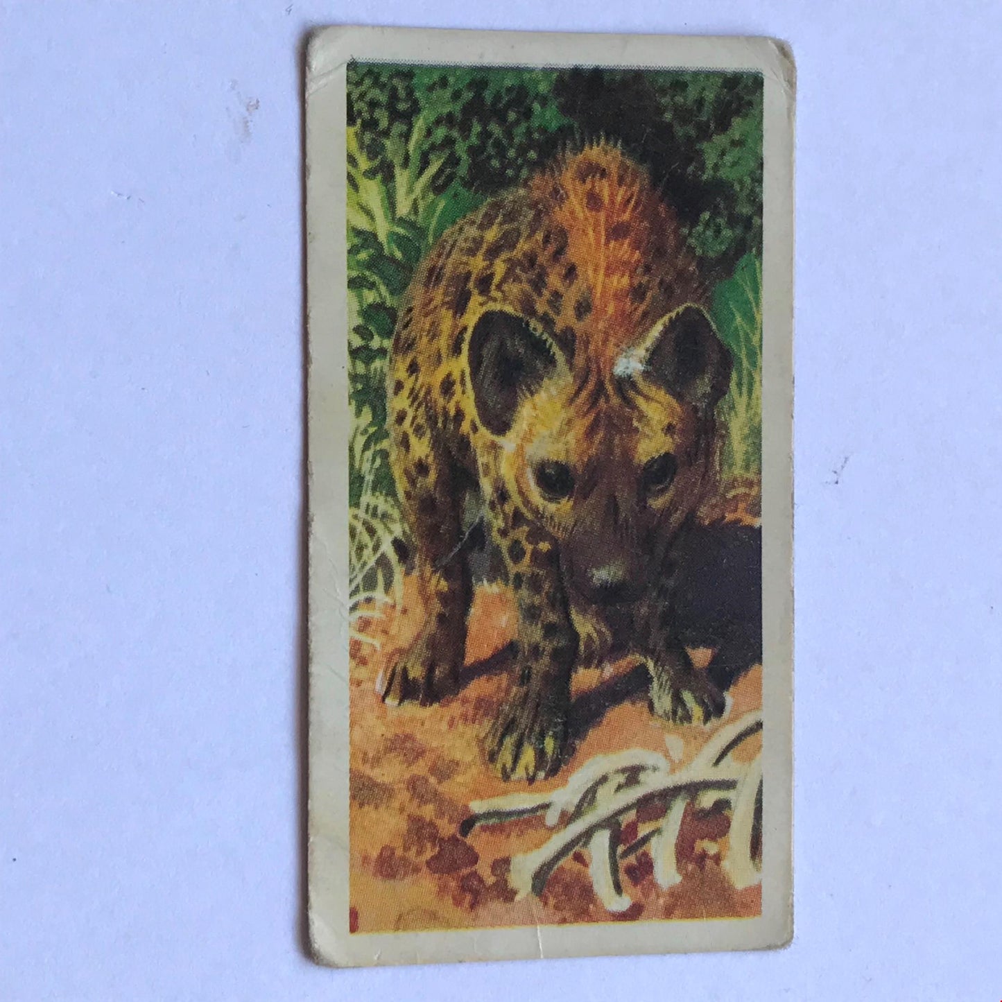 AFRICAN WILD LIFE Brooke Bond Tea Cards - sold individually - take your pick