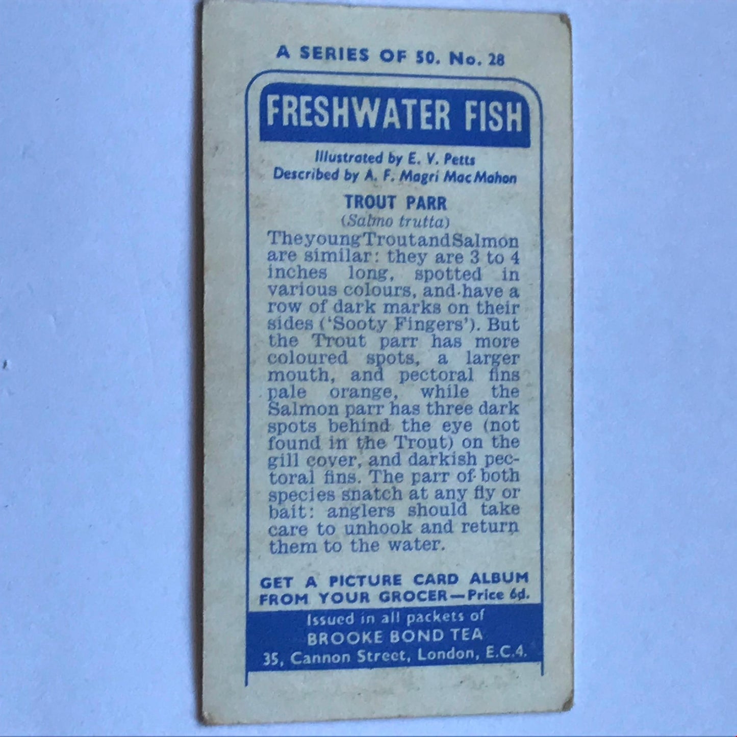 FRESHWATER FISH Brooke Bond Tea Cards 1960 Sold individually