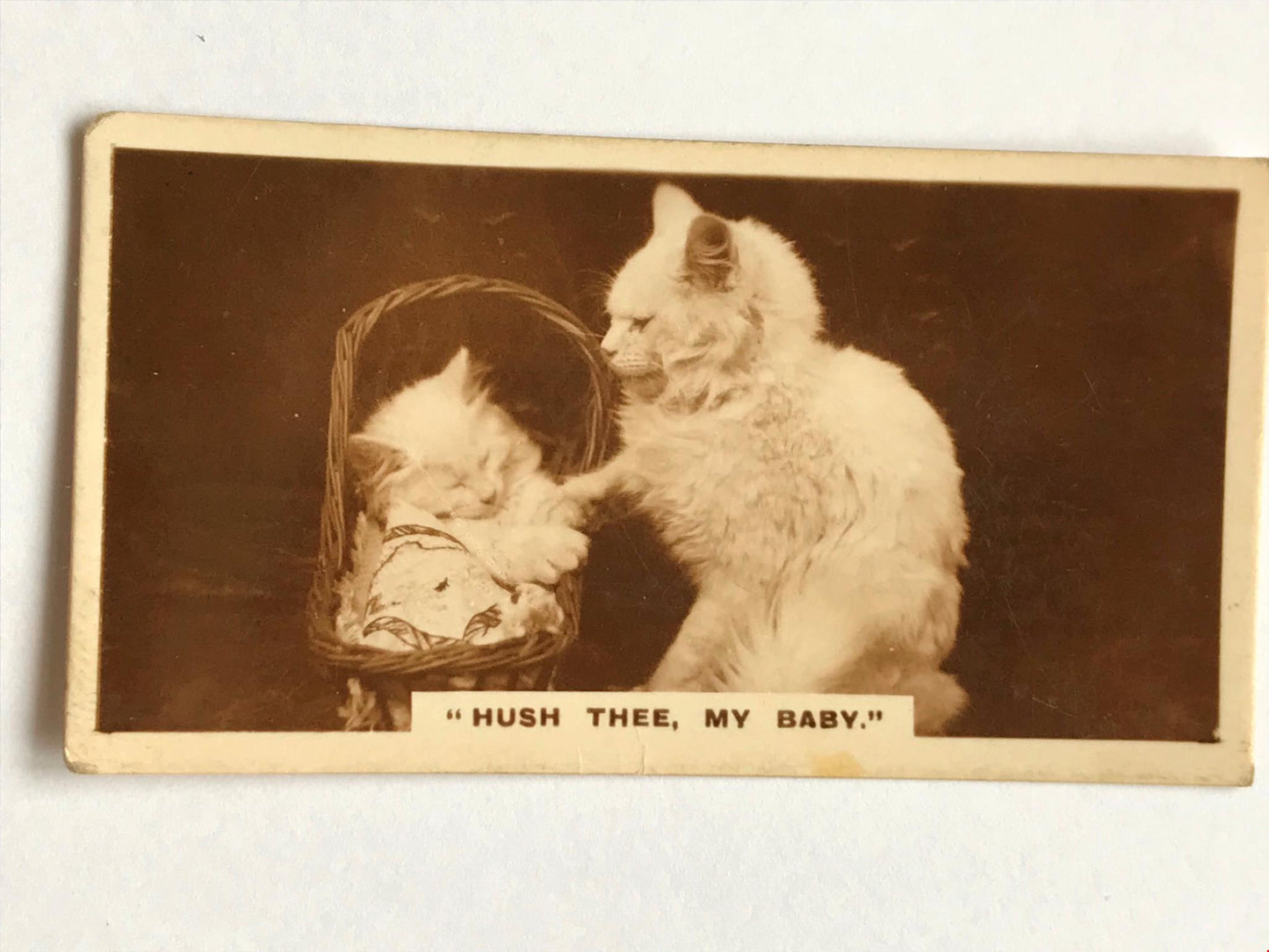 CUTE VINTAGE CAT PHOTO Mum with kitten ‘Hush thee my baby’ cigarette card