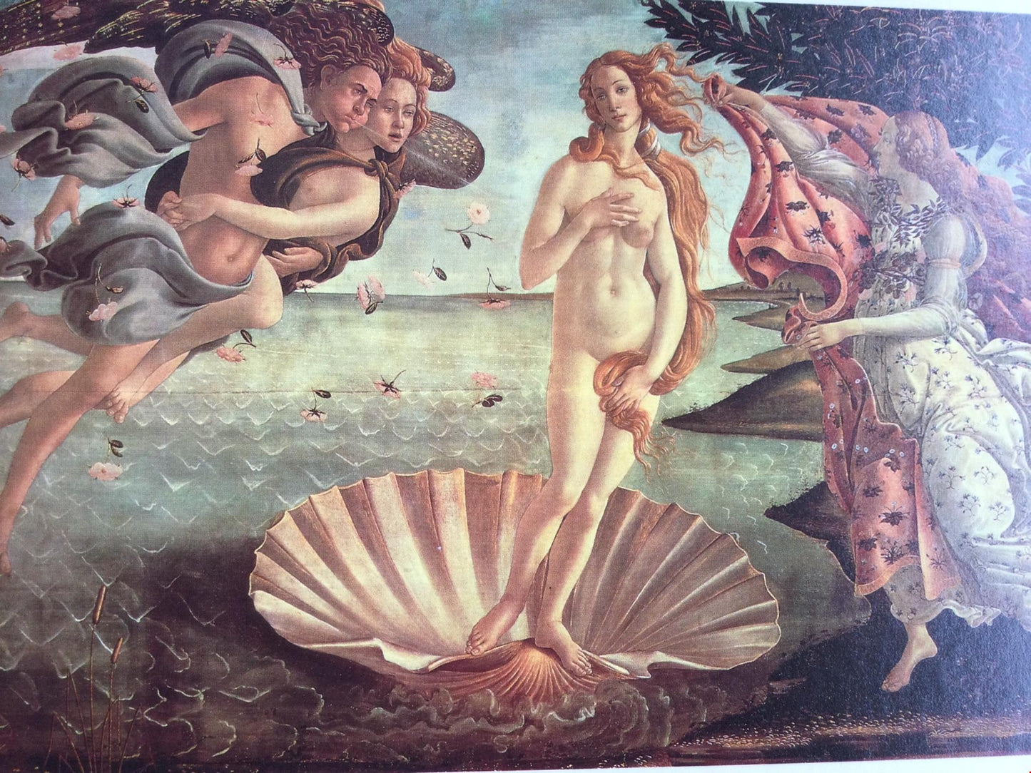 BOTTICELLI THE BIRTH OF VENUS c1482 Blank Card, No Envelope