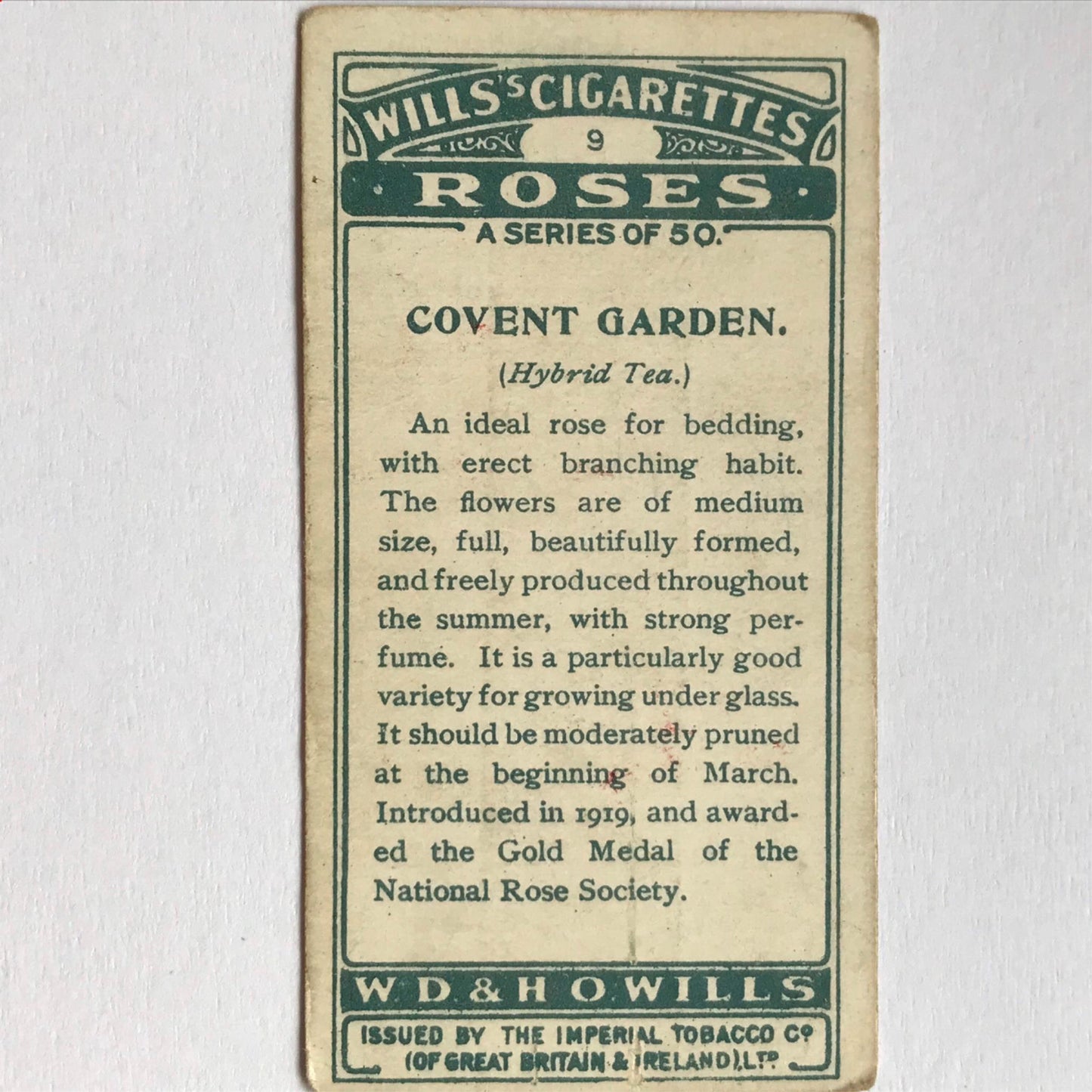 ROSES 1926 Wills Cigarette Cards - vintage rose pictures - sold individually