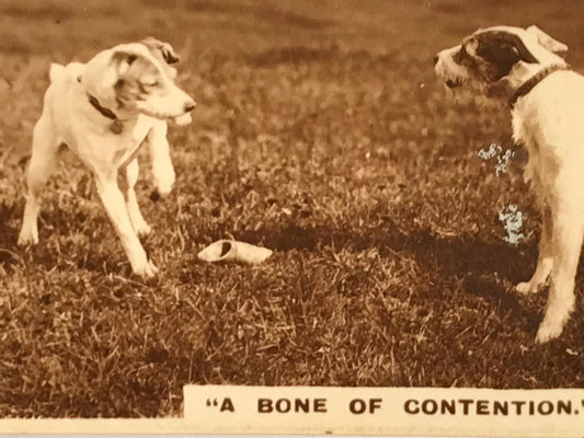 Vintage De Reske Cigarette Card - Series 1 No. 11 - 'A Bone Of Contention' - Photo of dogs with bone