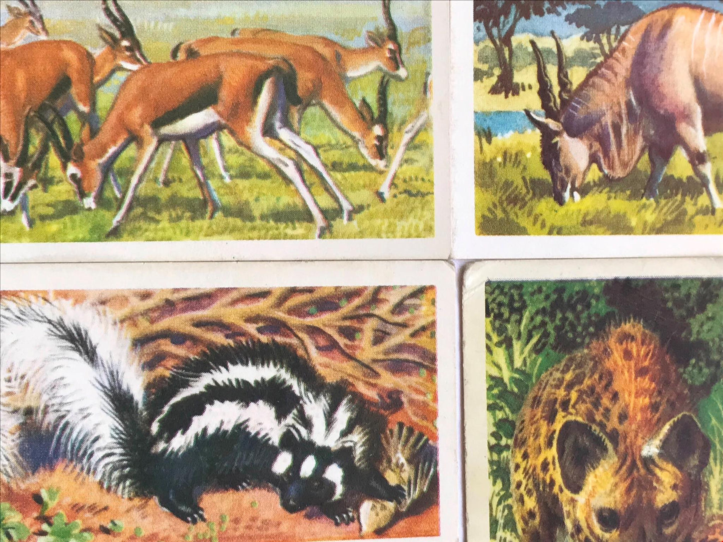 AFRICAN WILD LIFE Brooke Bond Tea Cards - sold individually - take your pick