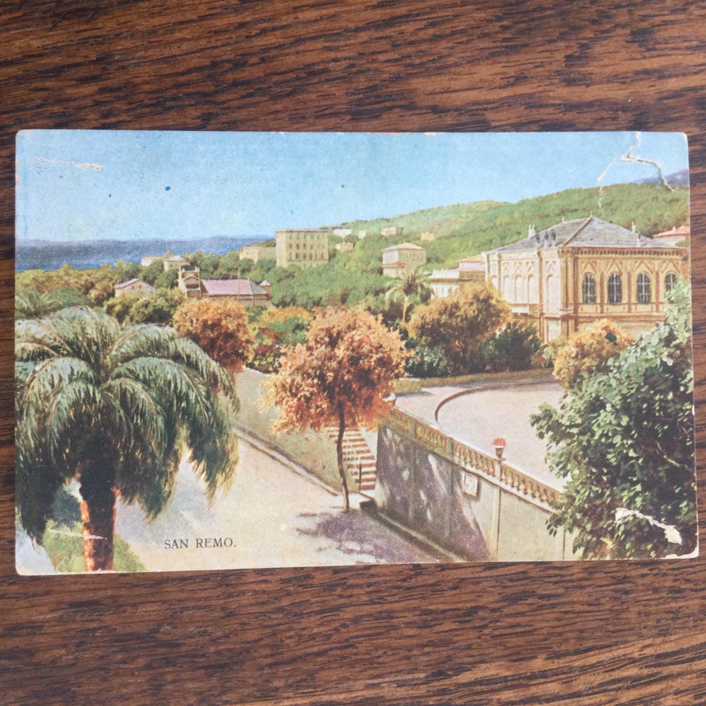 VintagePostcard Italy SAN REMO Posted palm trees coast