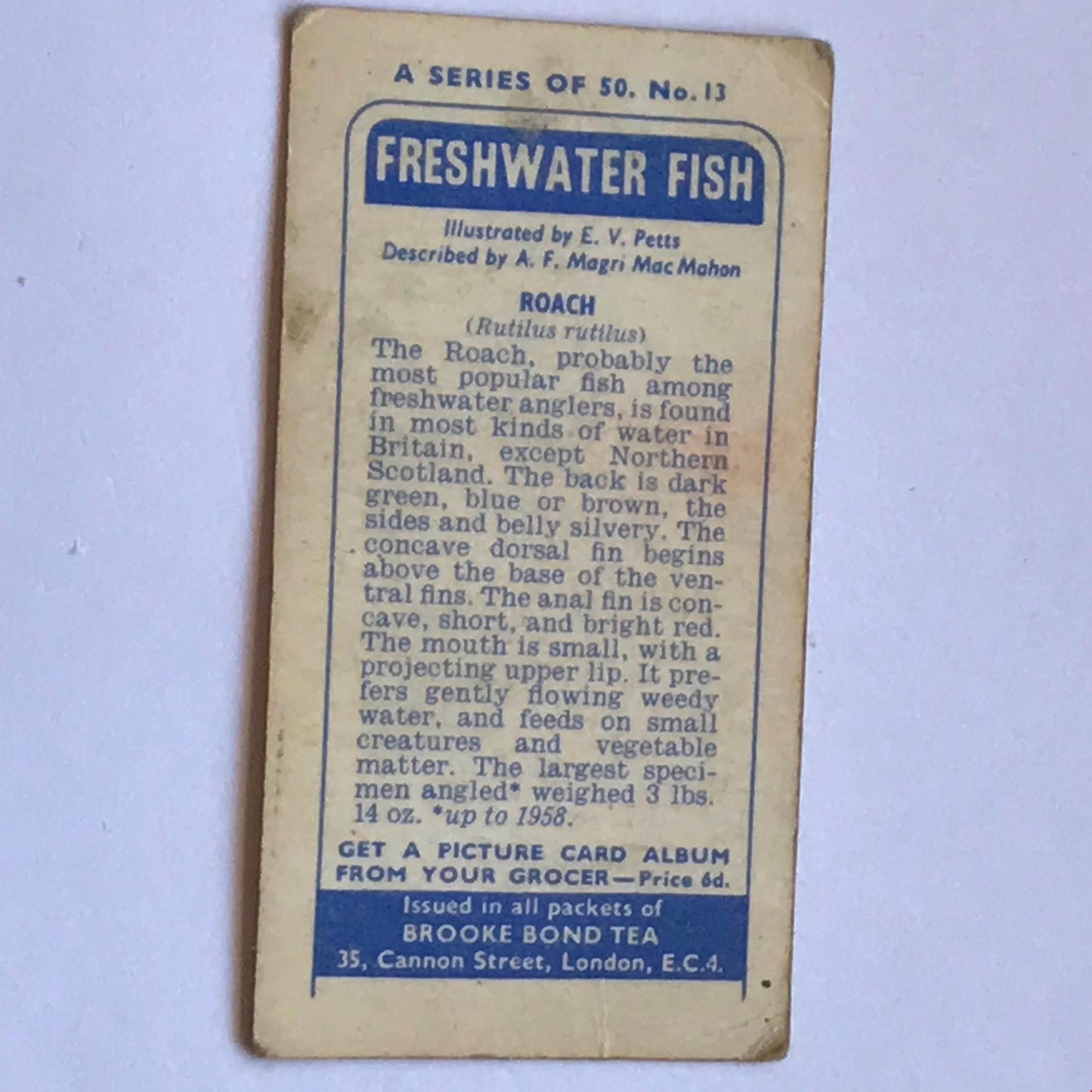 FRESHWATER FISH Brooke Bond Tea Cards 1960 Sold individually