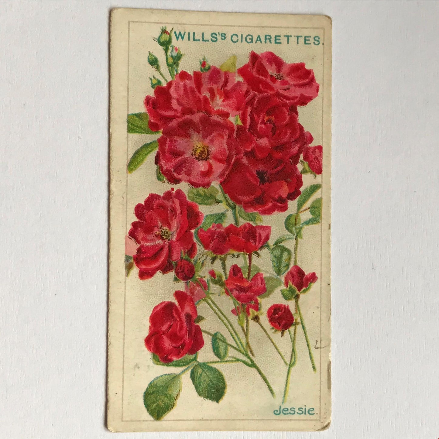 ROSES Wills Cigarette Cards 1912 Antique Rose Pictures - sold individually