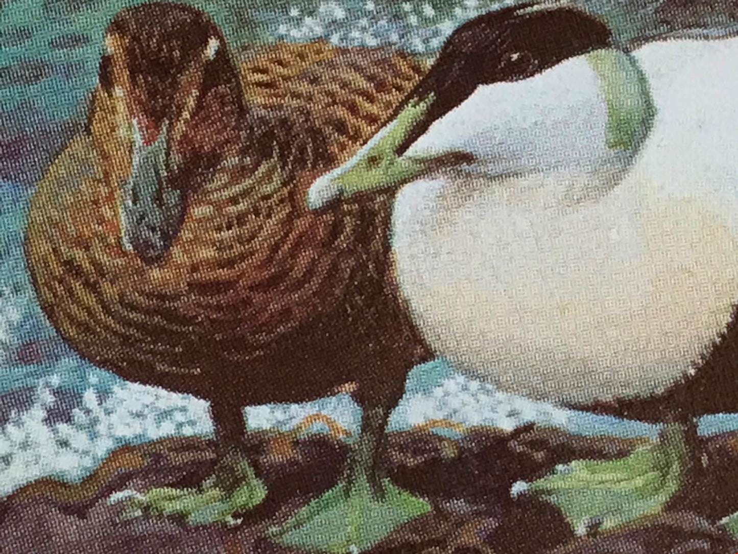 WILD BIRDS IN BRITAIN - Brooke Bond Tea Cards - sold individually take your pick