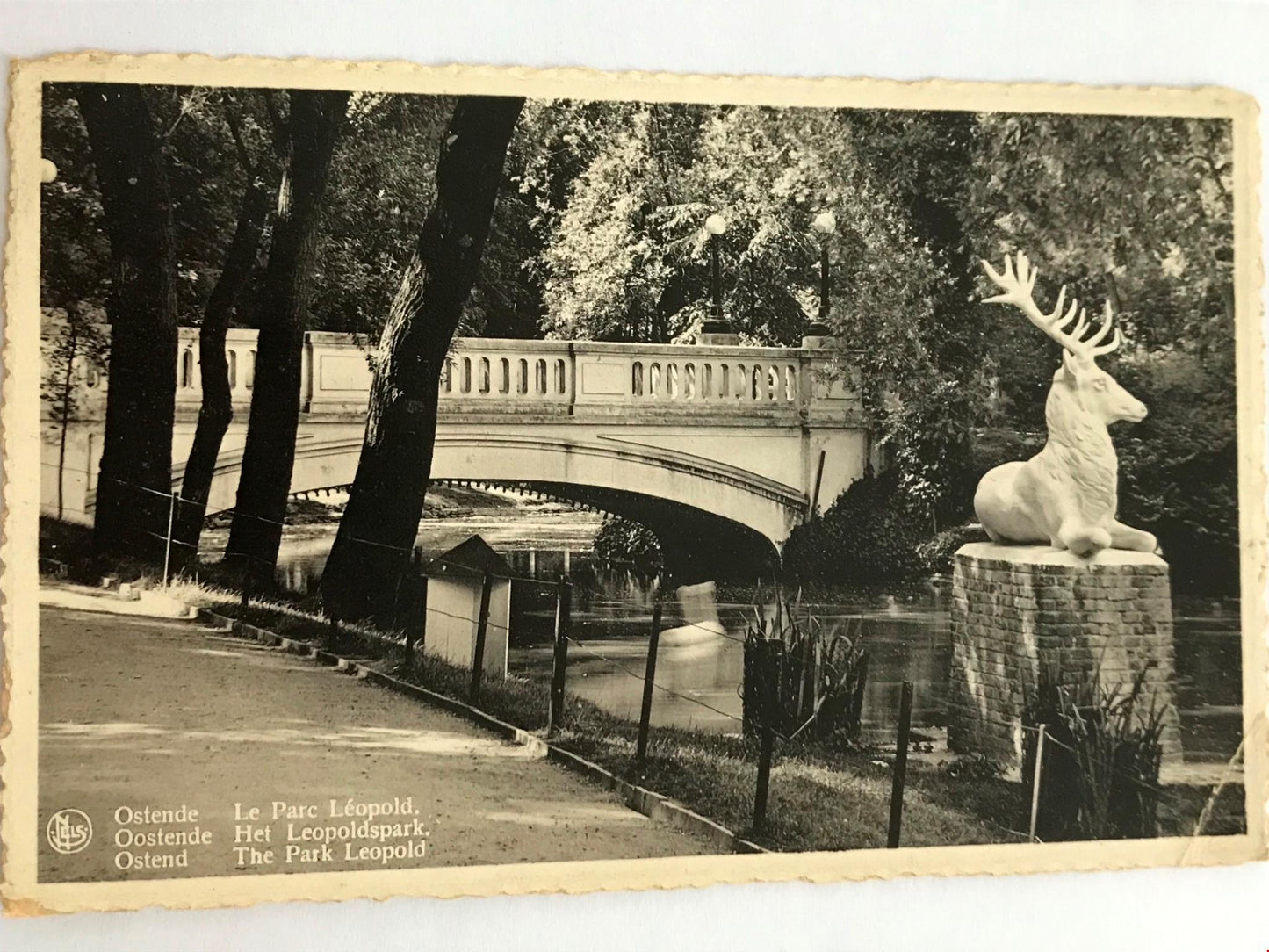 Vintage Postcard 1930s BELGIUM OSTEND LEOPOLDO PARK Stag statue bridge trees