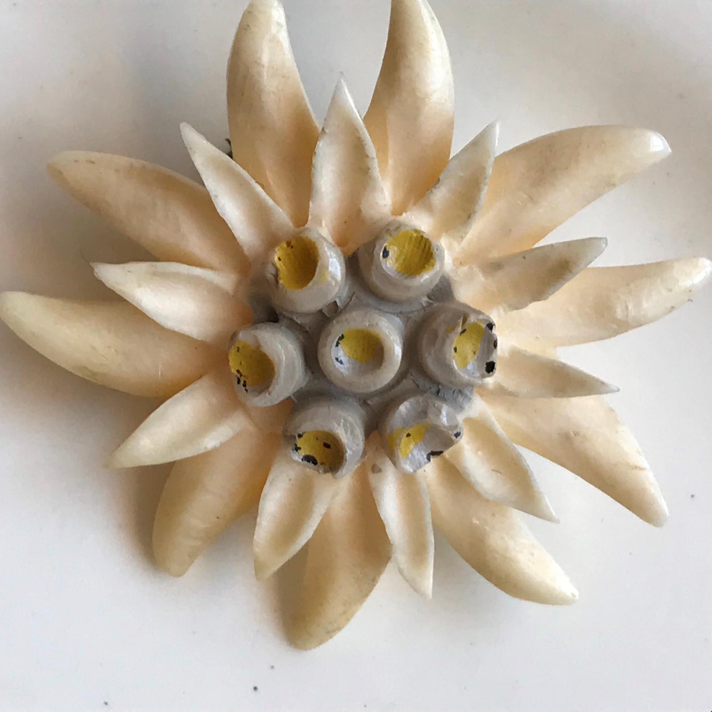 Vintage Early Plastic Brooch Edelweiss flower cream retro kitsch circa 1940s