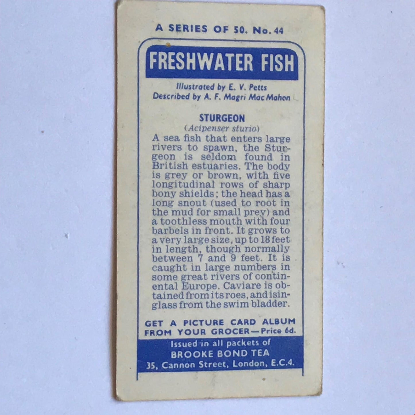 FRESHWATER FISH Brooke Bond Tea Cards 1960 Sold individually