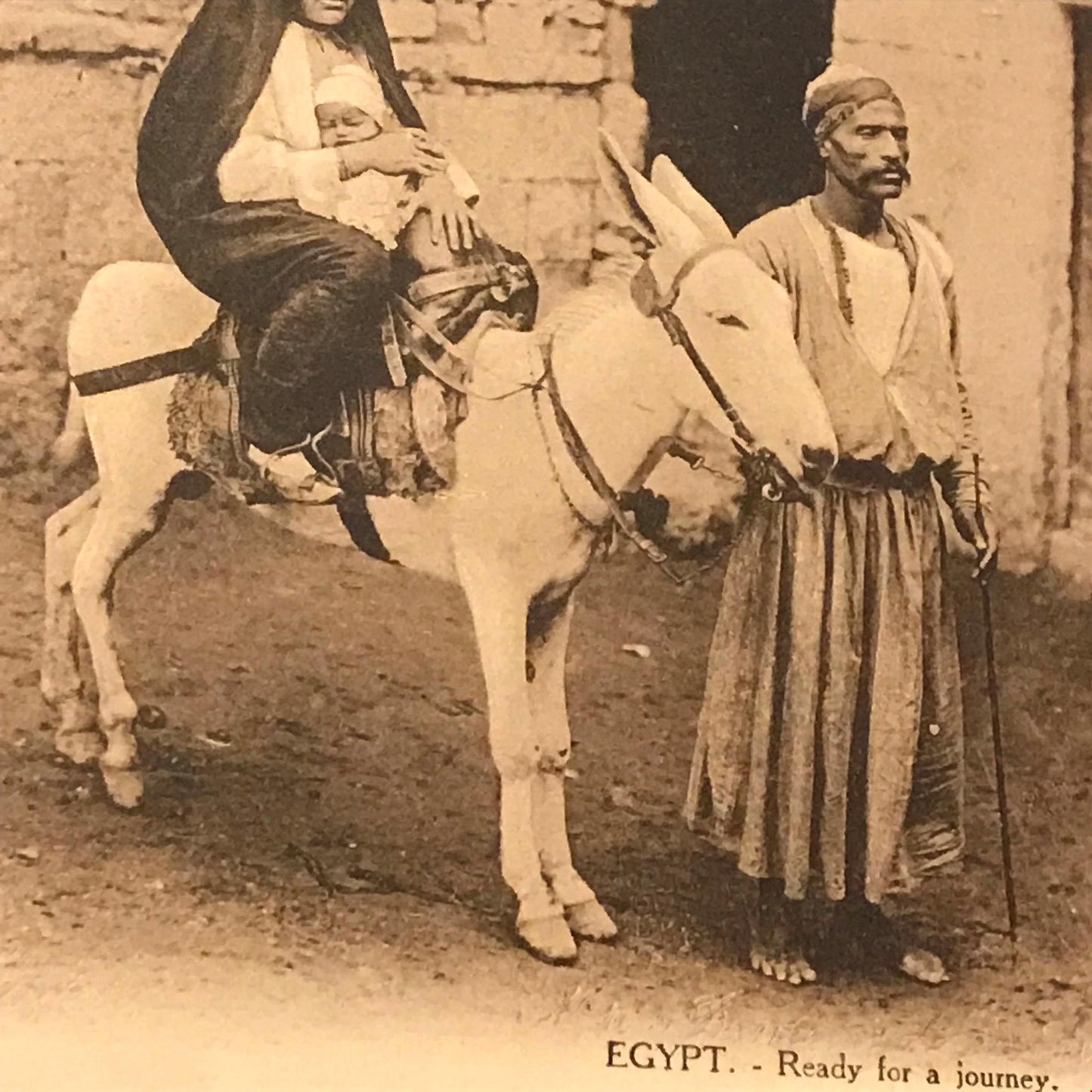 Vintage Sepia Postcard Cairo Egypt Family on donkey ready for a journey baby