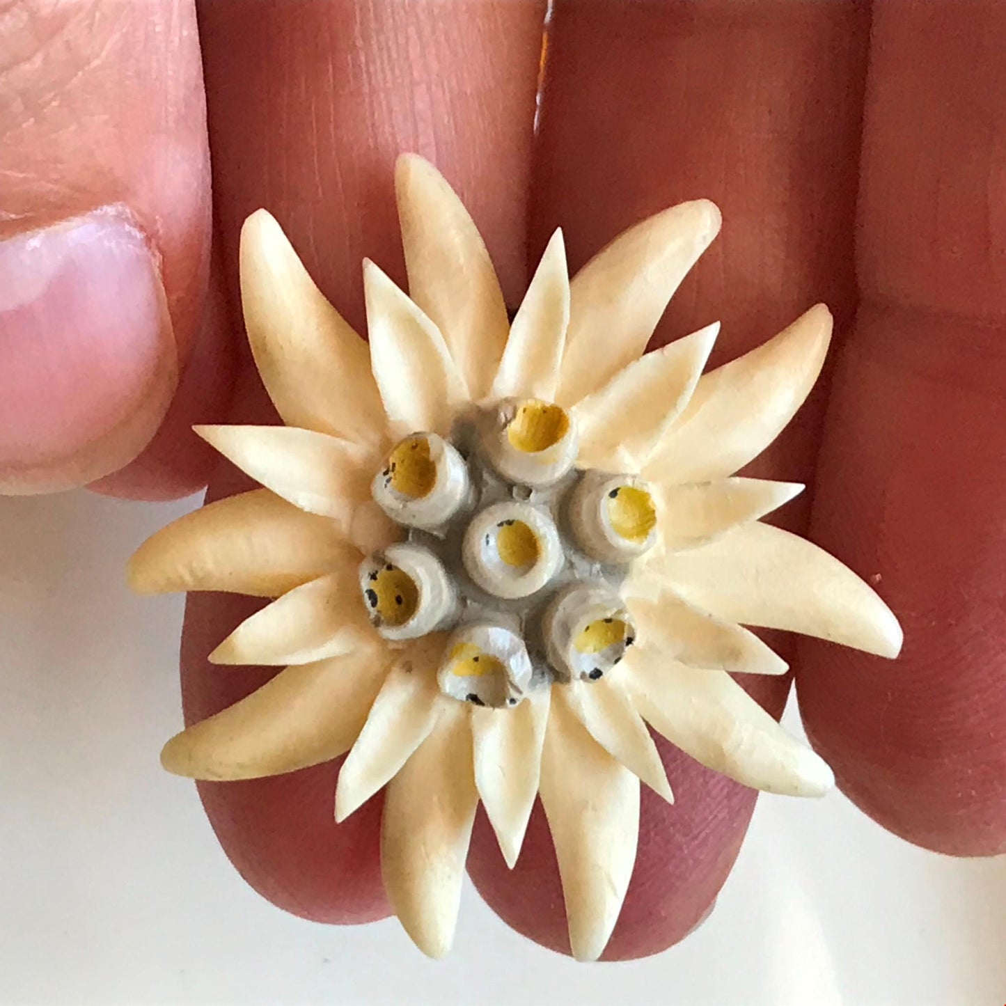 Vintage Early Plastic Brooch Edelweiss flower cream retro kitsch circa 1940s